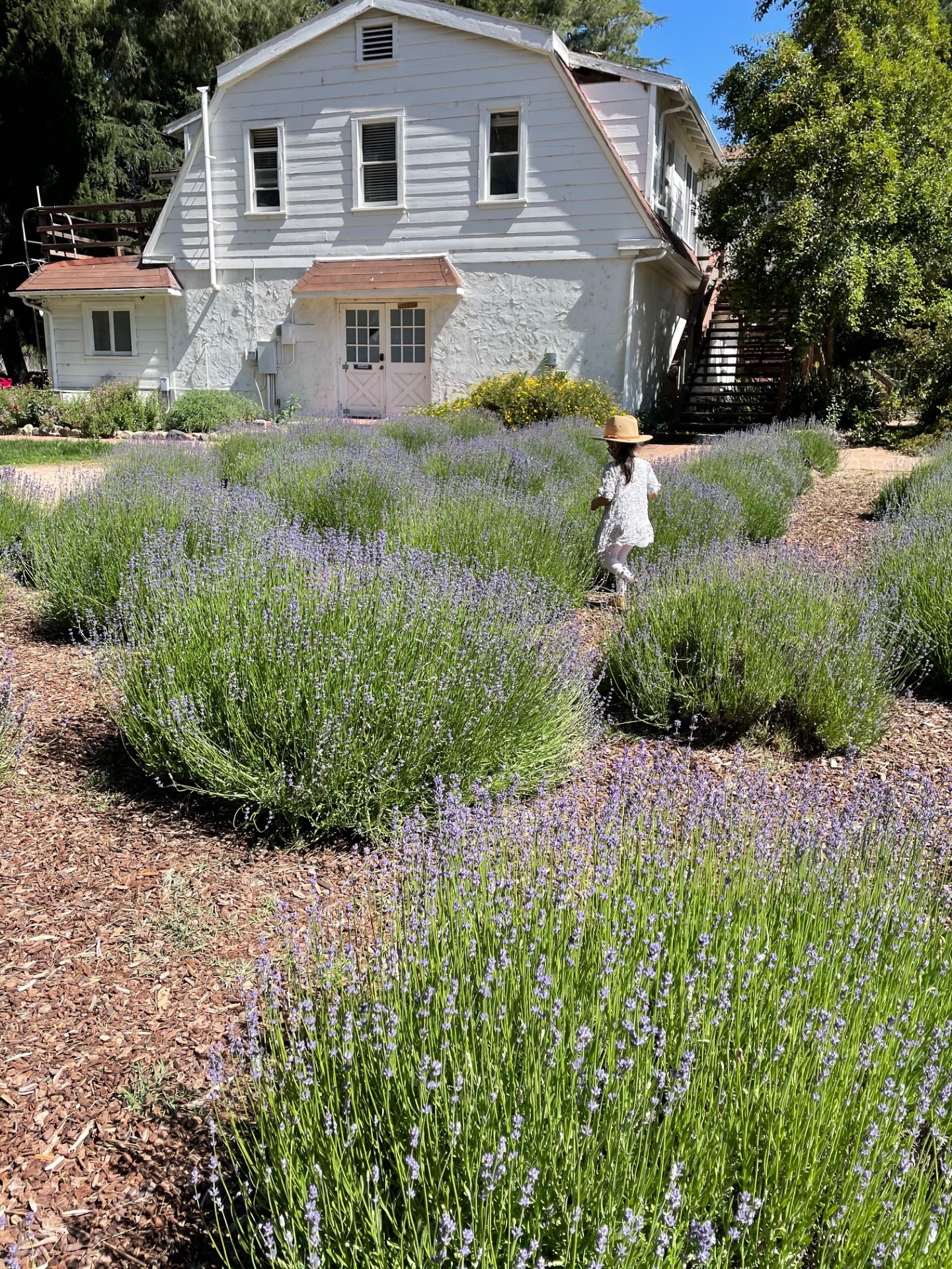 Farms Near L.A. Perfect for Kids & Family Adventures